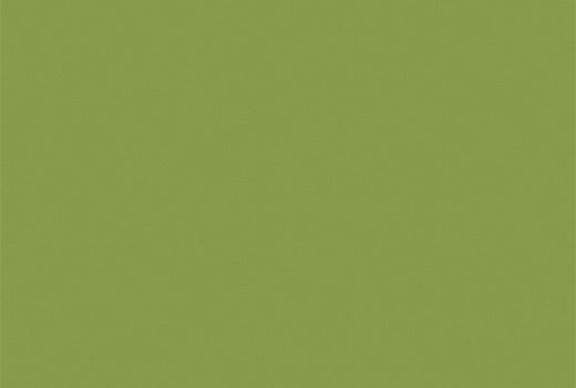 Зелёный киви