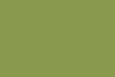 Зелёный киви